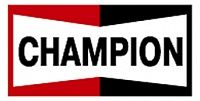 Воздушный фильтр CHAMPION CAF100806P