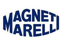 Главный тормозной цилиндр MAGNETI MARELLI 360219130246